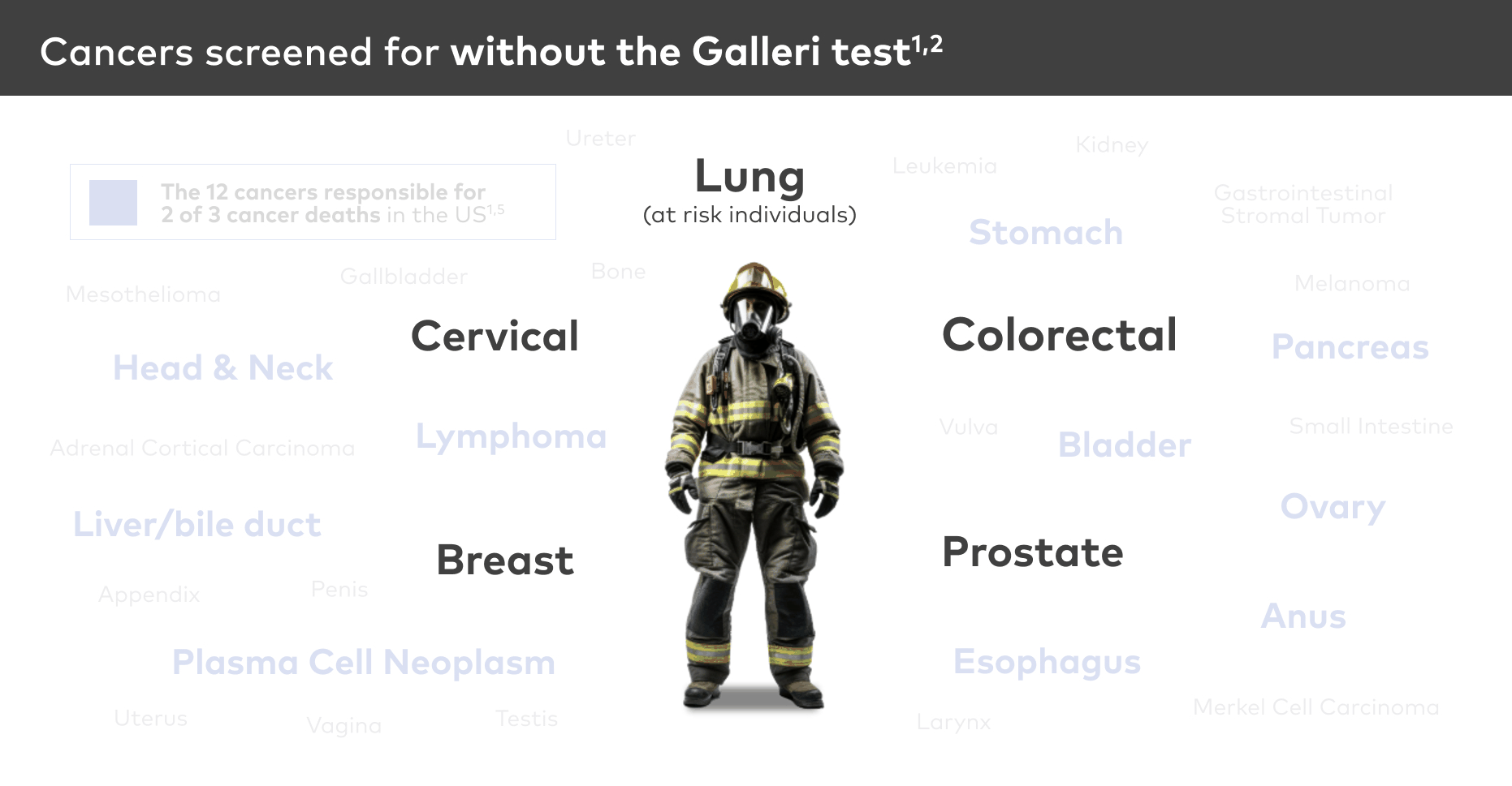 Cancer screening animation 12s