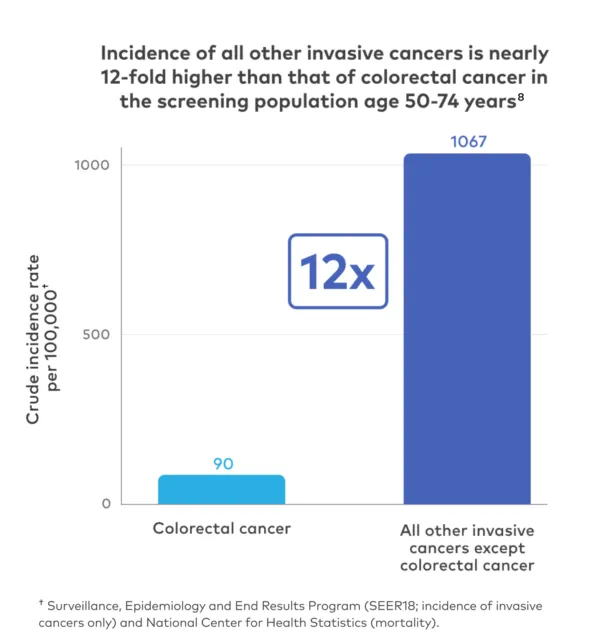 Graphic The Test