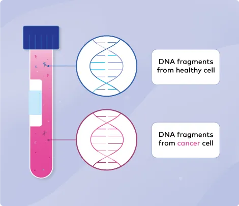 DNA fragments