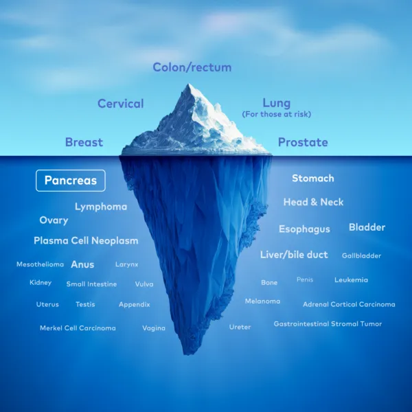Pancreas Iceberg Graphic 1220x1220